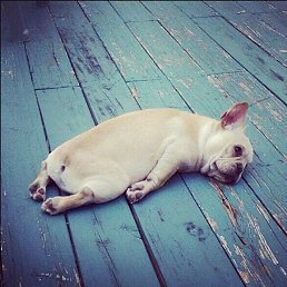 ���� ����, ������, 45 ��� - ��������� 14 ������� 2023