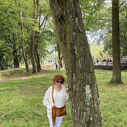 �����, �����������, 63 ����