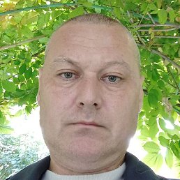 ������, �������, 46 ���