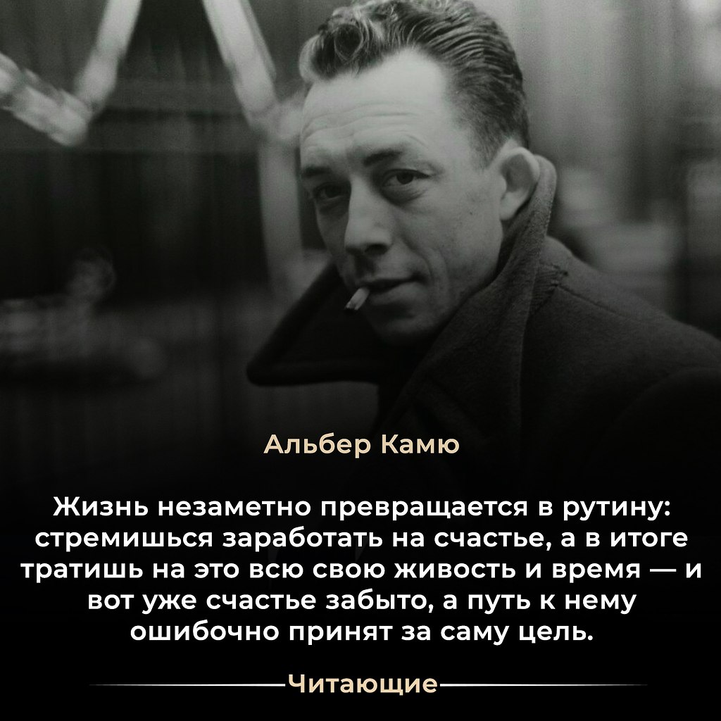   (19131960)   ,   ,     ...