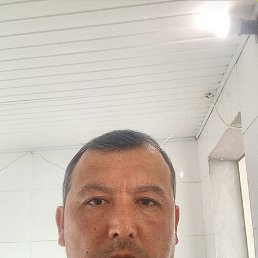 , 45, 