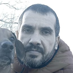 , , 44 