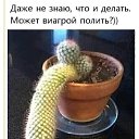  ,  -  4  2025    