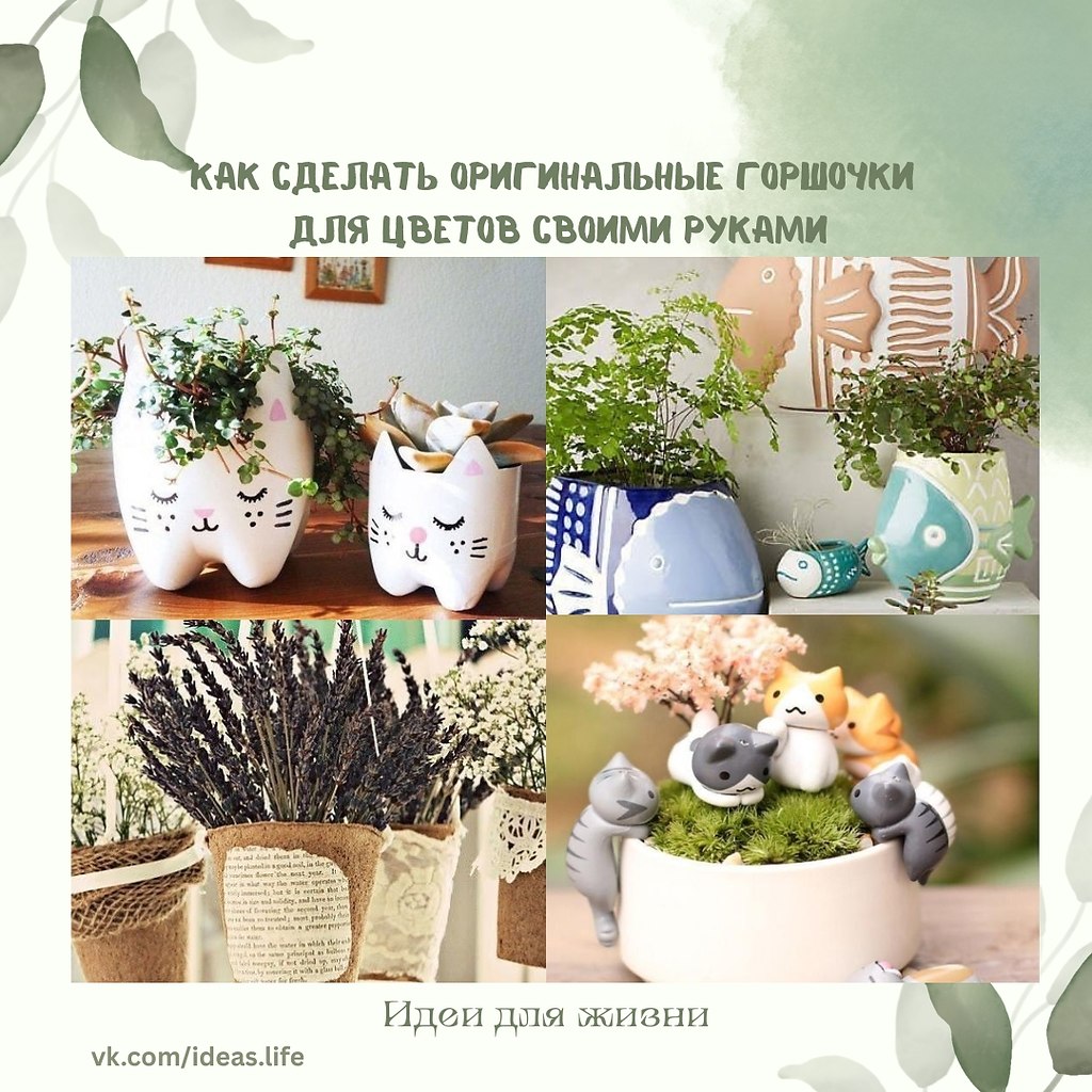 Сегодня растения всё чаще становятся не просто элементом декора, а частью интерьера с характером. И ...