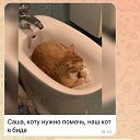 ���� ���������, ������, 58 ��� - ��������� 21 ������� 2026 � ������ ������ ��������