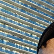 �����, 36 ���, ������