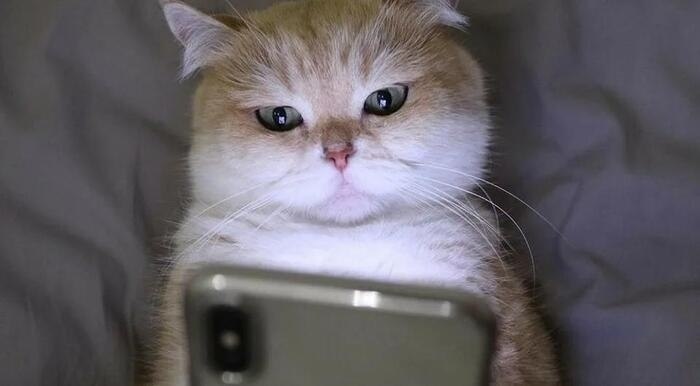 ������, �� ����� ����� �������� ����� � MAX. ��� �������. ��� ����� ������. ��� ��������. ����� ...