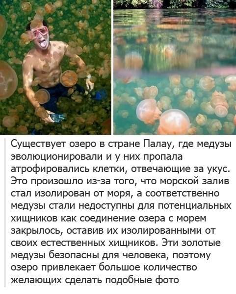 Discovery - 14  2024  20:00