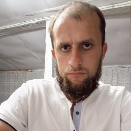 , 29, 