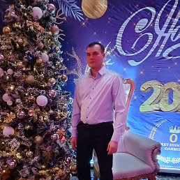 ������, 41 ���, ���������