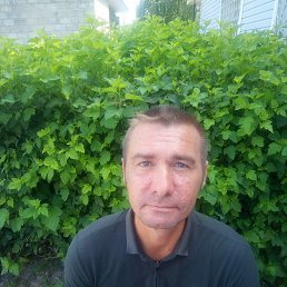 , 43 , 