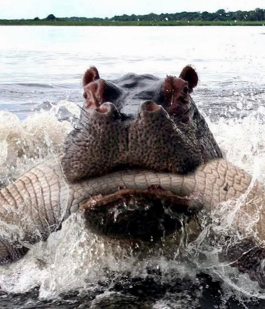 :) �������: ������ ��������, �������� �� ���������� � �� ����� �������. Ҹ���� ������� ���������� ...