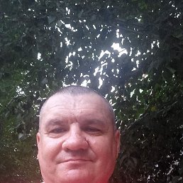 , 43, 