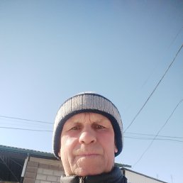 , 51, 