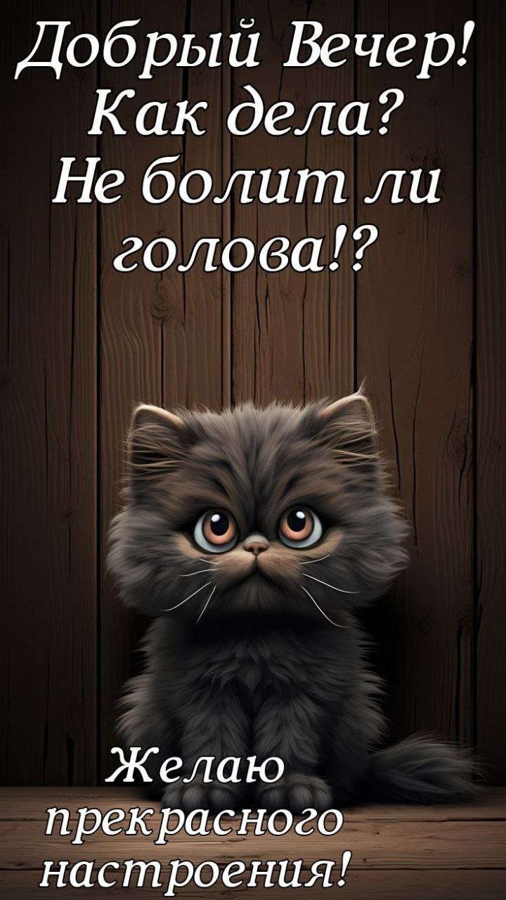 ������ - 12 ������� 2025 � 20:16