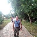  , , 41  -  8  2024    