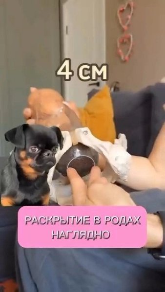   .  