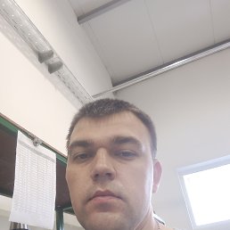 , 29,  