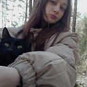 ���� �����, ������������, 40 ��� - ��������� 27 ���� 2025 � ������ ���� ����������