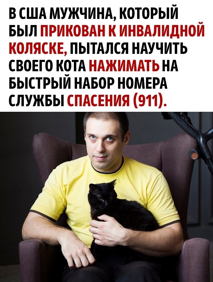 ,   !