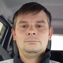 �������, ���������, 36 ���