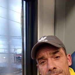 �����, 43 ����, �����������