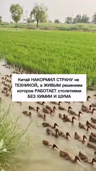 � ����� ���� ��� ��������� �������� �������� �� ������� ����� ������ � ������, � ������ ���������� ... - 2
