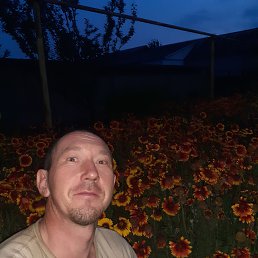 , 43, --