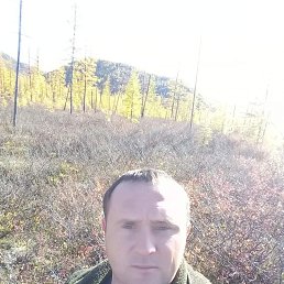 , 37 , 