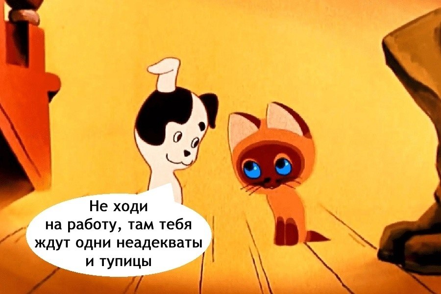  - 27  2025  23:50