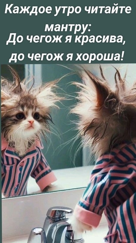  - 11  2024  09:00