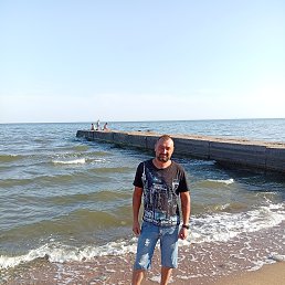 �����, 41 ���, ��������