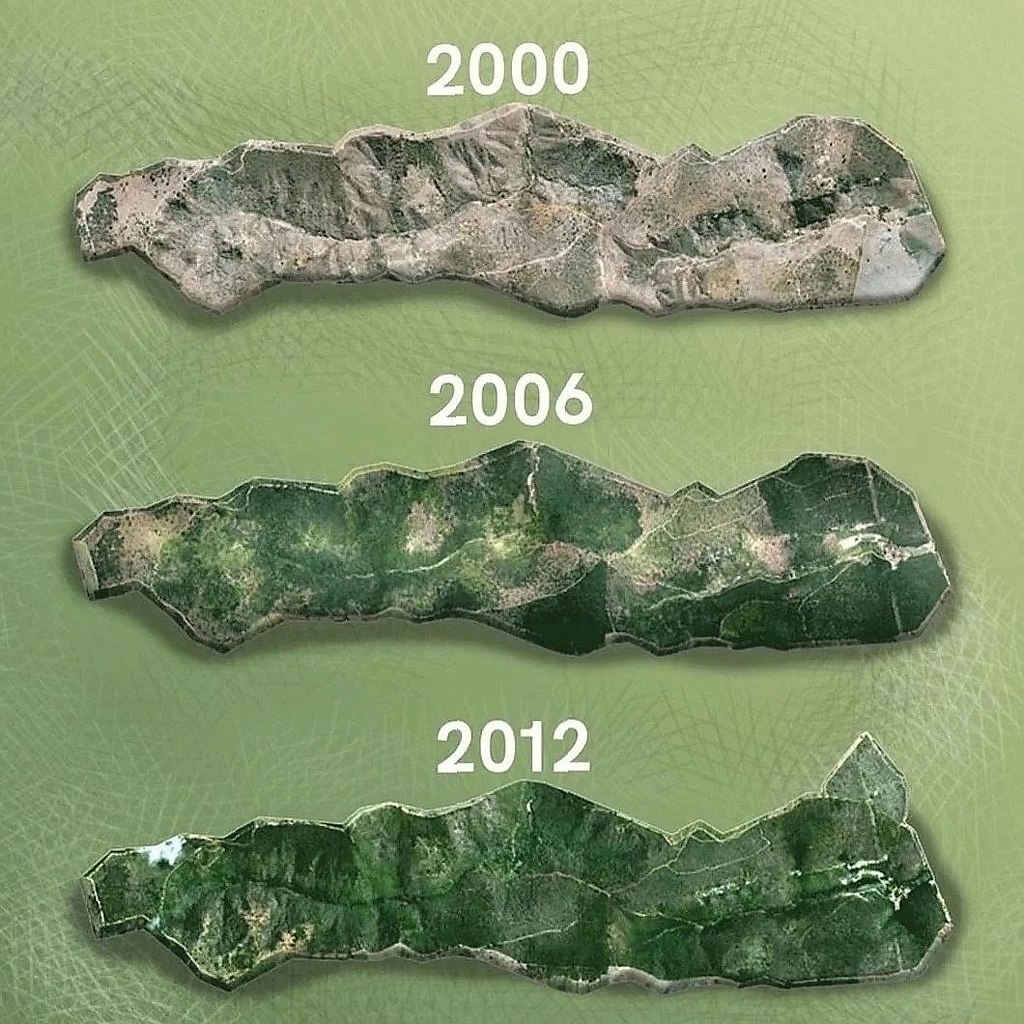 ����������� ������������ ����� ����� � ��������� �������� ��������� ����������� � �� 20 ��� ��� ...