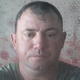 �����, ����, 41 ���