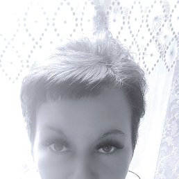 , 41, 