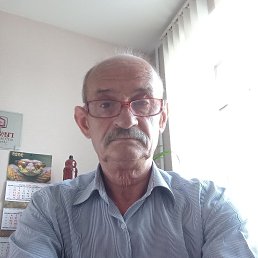 , 61, 