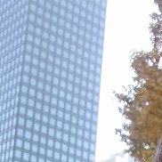 , 32 , 