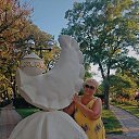 ���� ���������, �������� - ��������� 9 ���� 2026 � ������ ���� ����������