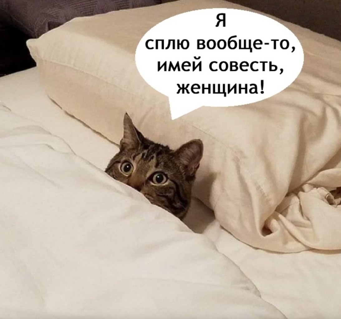   - 18  2025  23:54 - 3