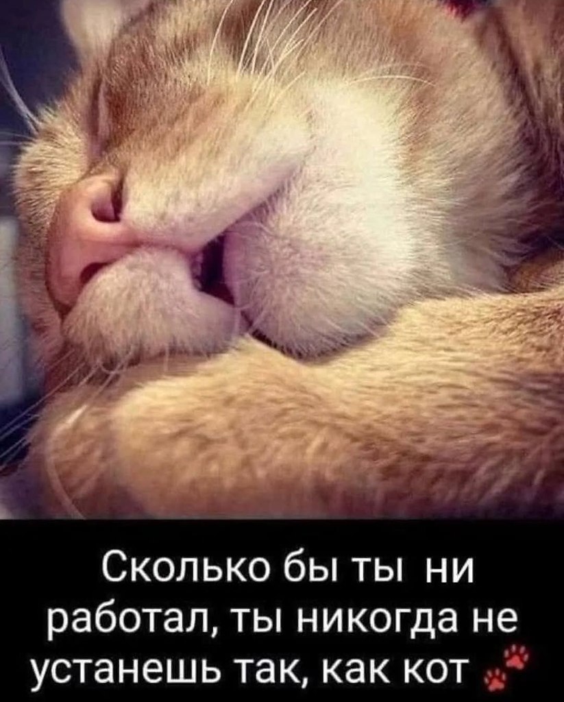   - 5  2025  14:32