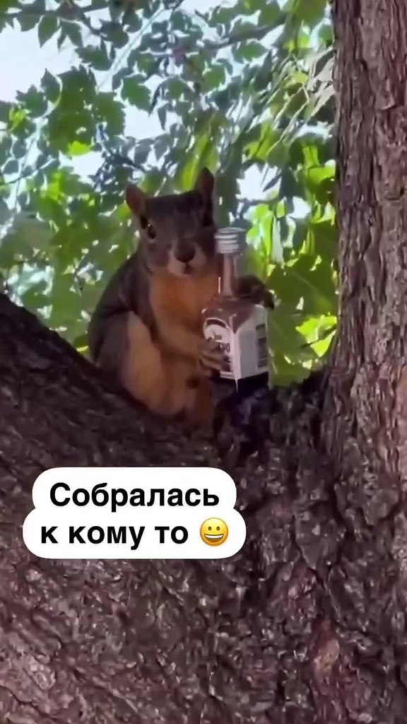   ,      ..