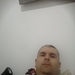 , 43,  