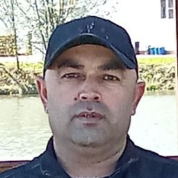 ��������, ������, 41 ���