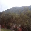 ���� �����, ���, 67 ��� - ��������� 24 �������� 2024 � ������ ������