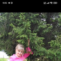 ����, ����, 51 ���