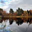 ���� Vidas, ��������, 64 ���� - ��������� 18 ������� 2025 � ������ ������ ��������