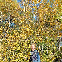 �����, ����, 50 ���