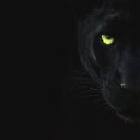 ���� ��������, ������, 49 ��� - ��������� 11 ������� 2023