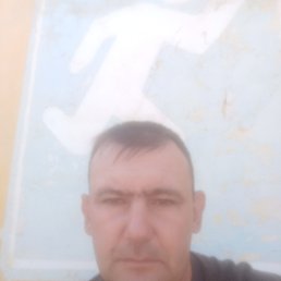 , 39, 