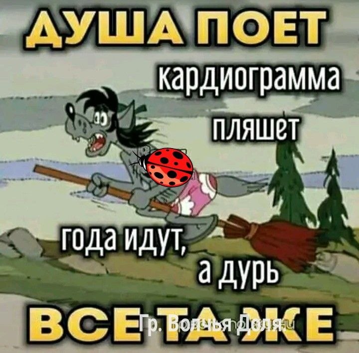    - 17  2025  02:05
